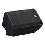Yamaha CBR12 passive speakers