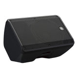 Yamaha CBR15 passive speakers