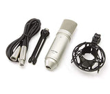 Tascam TM-80 Condenser Microphone